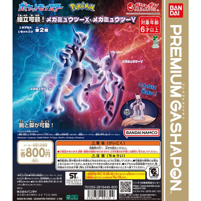 Pokémon Assemble and Move! Mega Mewtwo X and Mega Mewtwo Y